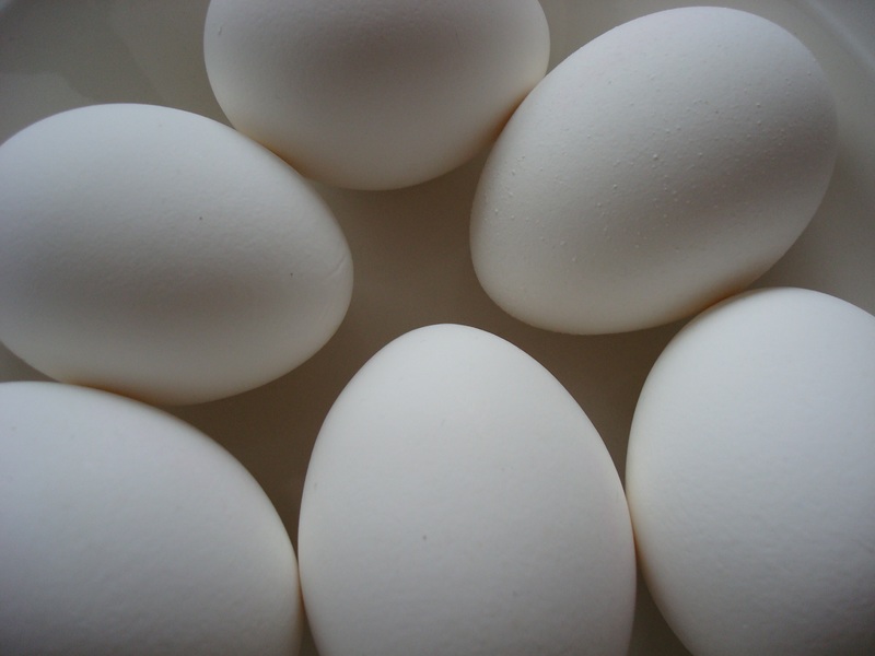5 היתרונות העיקריים של אבקת חלבון חלבון ביצה